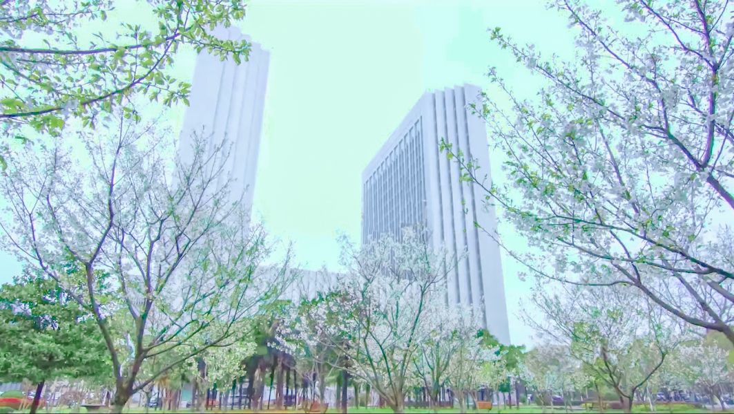 学校校园风景（3）