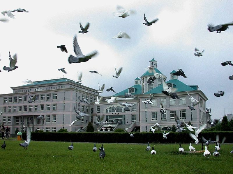 沈阳大学图书馆