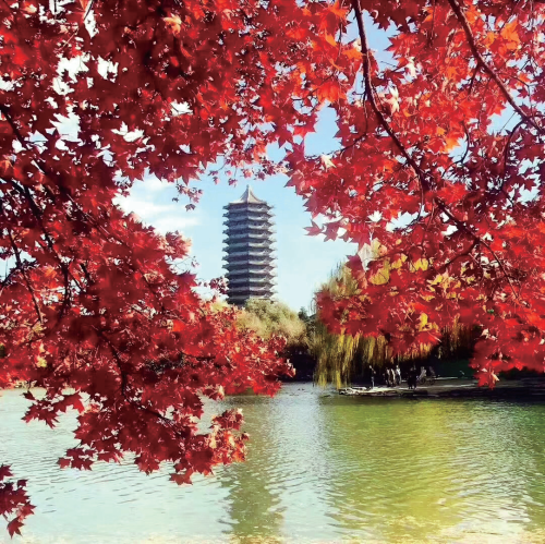 北京大学