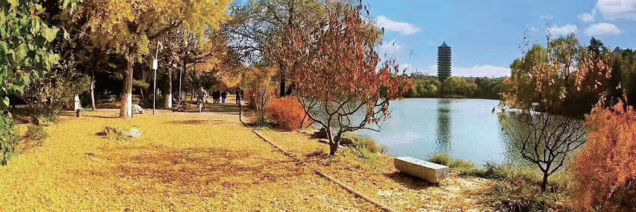 北京大学2