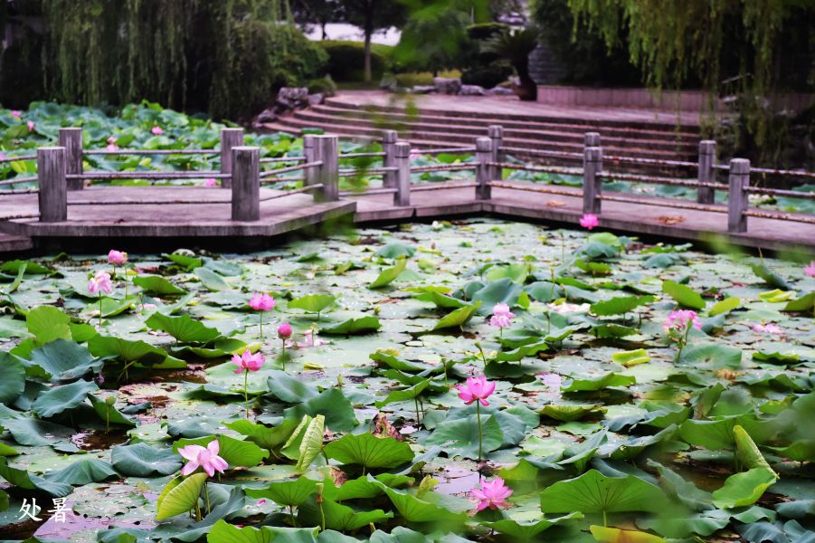 浙江中医药大学风景照三